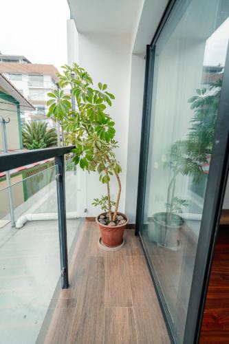a balcony with a potted plant in a pot at Apartamento con todo cerca en Cusco in Cusco