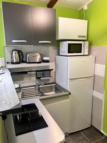 eine kleine Küche mit Kühlschrank und Mikrowelle in der Unterkunft Tilys lodge in Capesterre-Belle-Eau