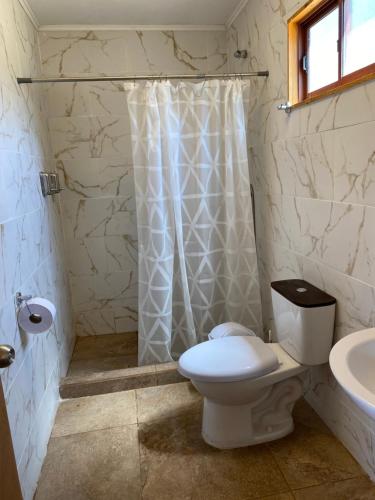 a bathroom with a toilet and a shower and a sink at Cabaña con quincho, tinaja y piscina in Coinco
