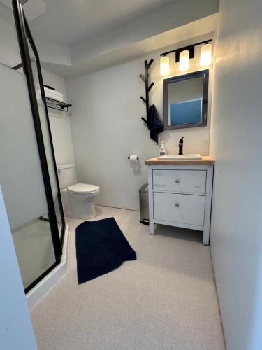 a bathroom with a sink and a toilet and a mirror at Mezzanine Loft Above the Barn in Whitehorse