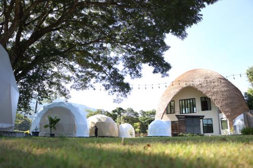 a group of domes in a field next to a building at PhuchanCamping