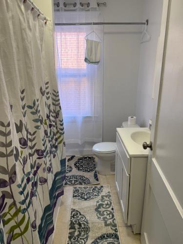 Koupelna v ubytování Comfortable 3-BR Home Minutes From UB South & Shop