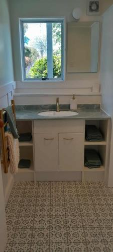 a bathroom with a sink and a window at Green on Queen in Richmond