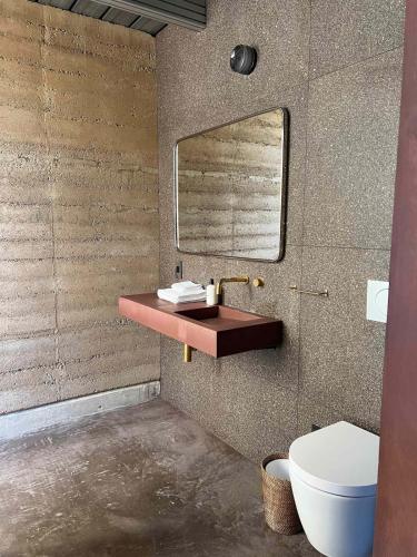 a bathroom with a sink and a mirror on the wall at Red-tail Cabin at Gamenthaler in Fredericksburg