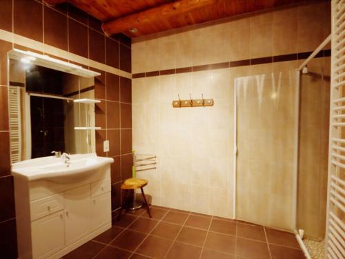 a bathroom with a shower and a sink at Gîte en Pierre avec Grand Terrain à Saint-Nizier-de-Fornas - FR-1-496-259 in Saint-Nizier-de-Fornas