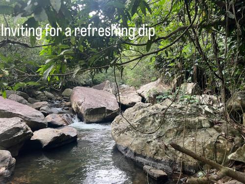 a river in a forest with the words volunteering for a refreshing hiking dip at Pepper Trails Riverstone 
