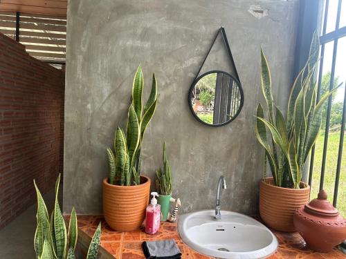a bathroom with two potted plants and a sink at Pharit guesthouse in Pai