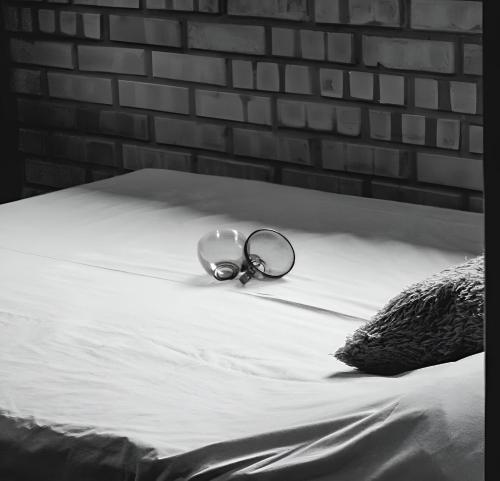 Ένα ή περισσότερα κρεβάτια σε δωμάτιο στο Sítio Costa Leite