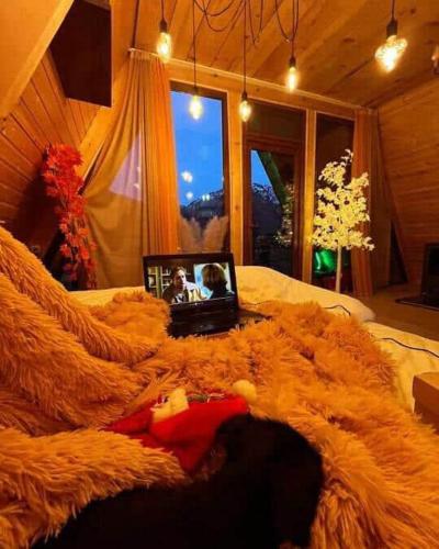 a laptop computer sitting on top of a pile of fur at warm house - sunrise merisi in Merisi