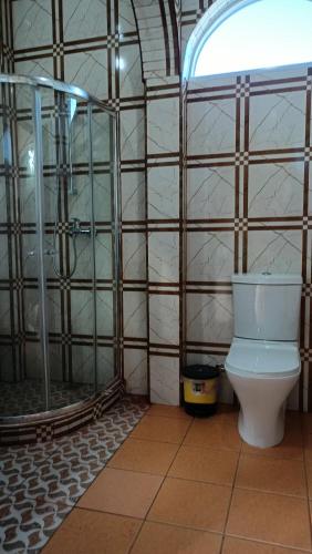 a bathroom with a toilet and a shower at Skyline View Garden Apartment in Bel Ombre