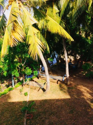 a person sitting on a bench under two palm trees at The Green View Yala in Tissamaharama