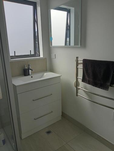 a bathroom with a sink and a window at Frederick Street Town house in Christchurch