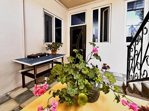 Ban công/sân hiên tại Daffodils Sweet Home