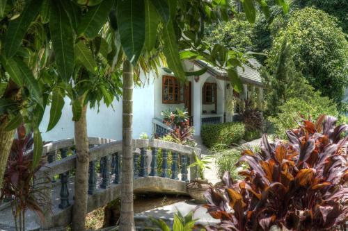 a house with a bridge in a garden at Gila's Garden in Lamai
