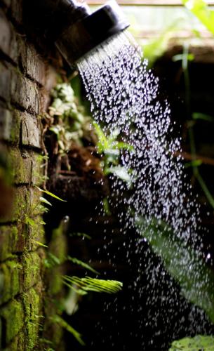 Gambar di galeri bagi Sarinbuana Eco Lodge di Blimbing