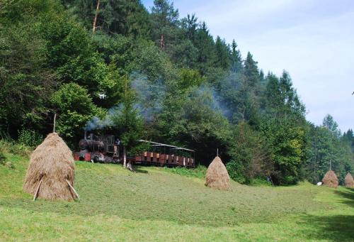 a train is traveling down a hill with hay at Casa Petri Rosia Montana in Roşia Montană