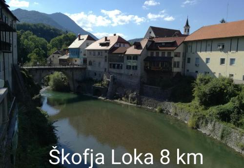 a river in a town with buildings and a bridge at Apartment Andy in Medvode