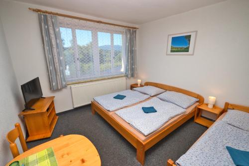 een slaapkamer met een bed en een televisie. bij Penzion u Kukačků in Horní Planá