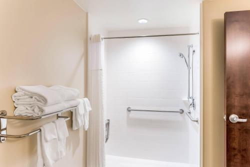 Koupelna v ubytování Comfort Inn & Suites Zion Park Area