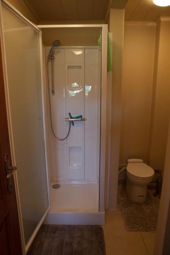 HorebekeにあるCleensydeのシャワーとトイレ付きのバスルーム