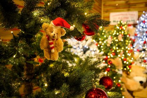 Fotografie z fotogalerie ubytování Latterace Resort v destinaci Josu