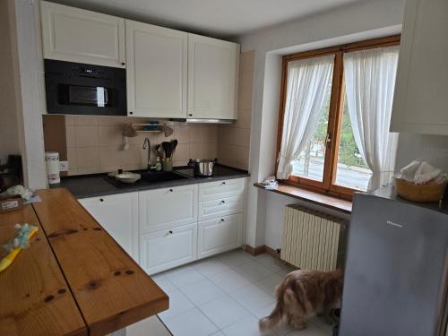 a kitchen with white cabinets and a dog standing on the floor at La MaisonB - Arly in La Thuile