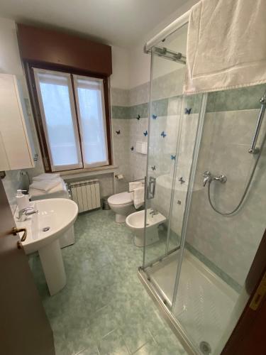 a bathroom with a shower and a toilet and a sink at Appartamento La Triade in Bonavicina