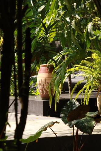 Jardín al aire libre en Richards Cabanas