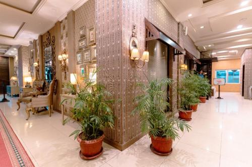 a hallway with potted plants on the walls at Shelton's Rezidor Peshawar in Peshawar