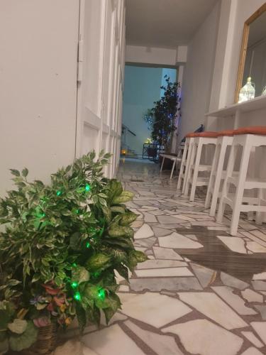 Evelina Guest House Beach Pension means vacation beside the sea, Who wants to swim in a box of chemicals, swimming in the sea,There is nothing like a morning walk on a beach-Beachlife definitely has a different vibe