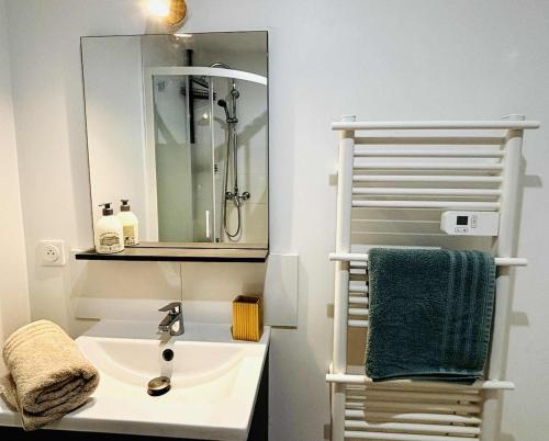 un baño con lavabo y espejo en la bulle d'Edward gare jardin centre, en Angulema