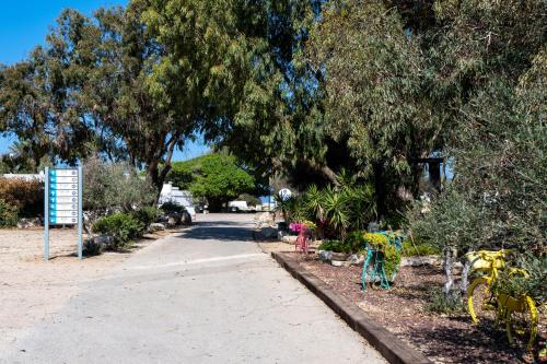 a walkway with trees and chairs in a park at SPNI Achziv Field School in Gesher HaZiw