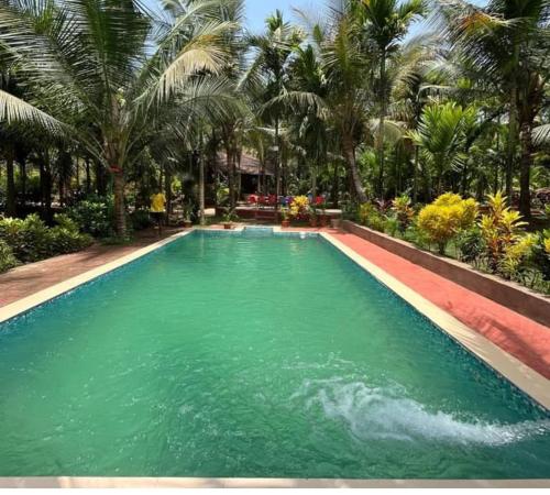 a swimming pool with green water and palm trees at Savali farm stay in Parchuri