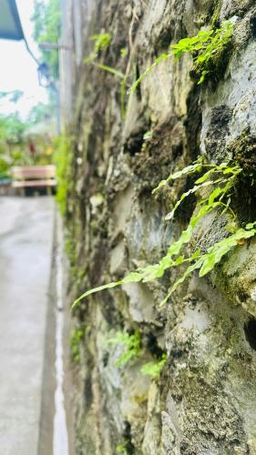 Φωτογραφία από το άλμπουμ του Sweet House σε Λάο Τσάι