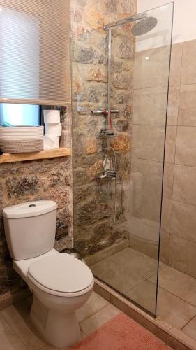 a bathroom with a toilet and a glass shower at Villa with private pool and stunning sea view in Galaxidi