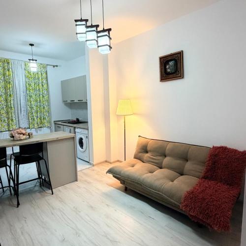 a living room with a couch and a table and a kitchen at Julia Militari Studio in Roşu