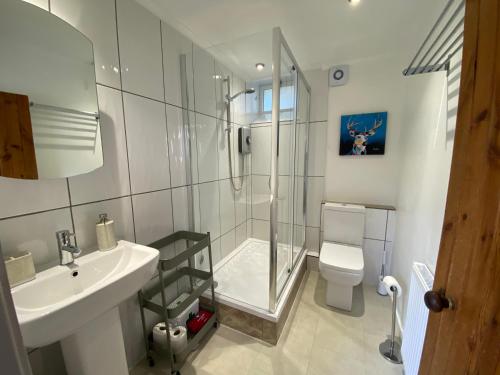 a bathroom with a shower and a toilet and a sink at Brylach Steading in Aberlour