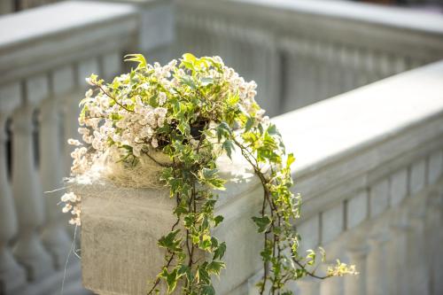 a plant in a concrete planter on a building at Grand Hotel Terme in Riolo Terme