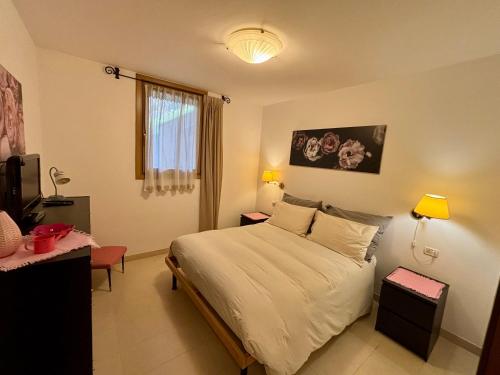 a bedroom with a bed and a desk and a television at Pragma Apartments - Appartamento Dellantonio in Predazzo