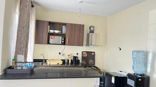 a kitchen with a sink and a counter top at Frost Haven in Eldoret