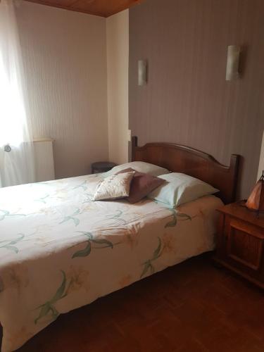 a bedroom with a bed and a window at Maison dans un village calme in Carla-de-Roquefort