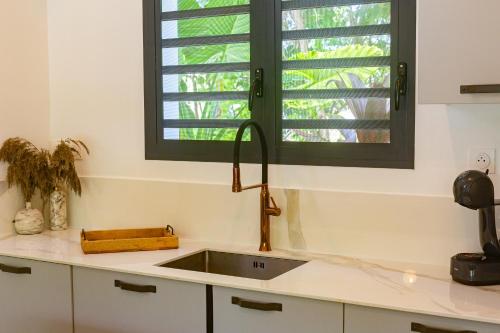 a kitchen with a sink and a window at Domaine Simini - Villas et Chalet entre mer et montagne in Sainte-Rose