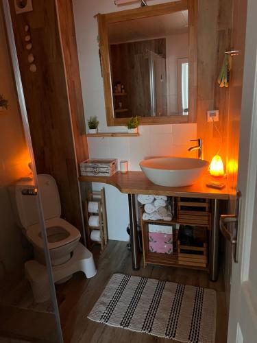 Koupelna v ubytování Cosy Dream Appartment near Borovets