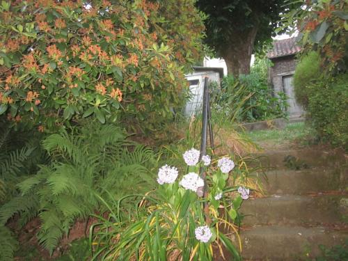 a garden with some flowers and some stairs at LIMOGES, mignon appart ! in Limoges