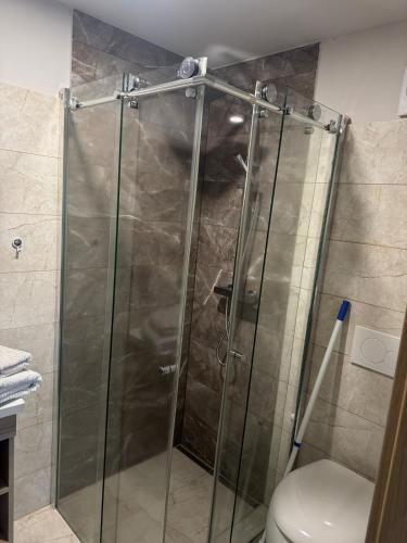 een glazen douche in een badkamer met toilet bij MA Apartment in Neckartailfingen