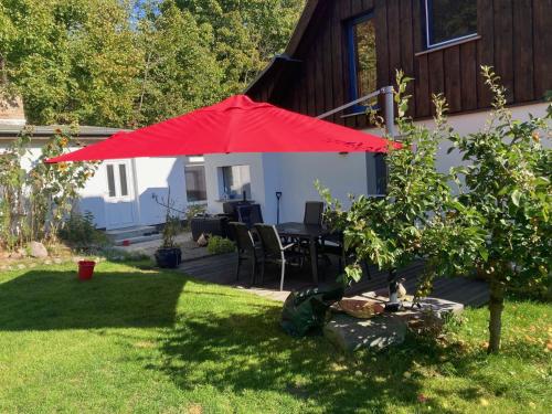 KamminkeにあるKamminke - Reetdachhausの家の庭の赤傘