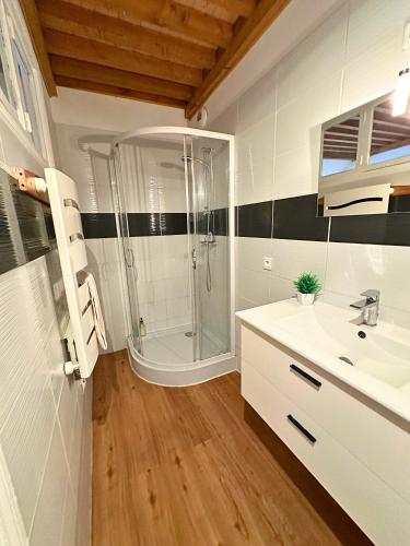 a bathroom with a shower and a sink at Superbe maison en pierre in Sault-Brénaz