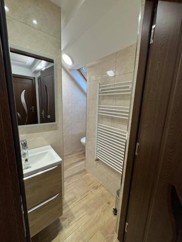 a bathroom with a sink and a mirror at La Tranquillité Citadine in Schiltigheim