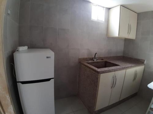 Mounes Hotel في صيدا: مطبخ صغير مزود بحوض ومبرد