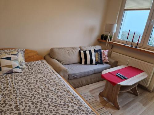 a living room with a couch and a coffee table at Apartament Czwarte Piętro in Świecie
